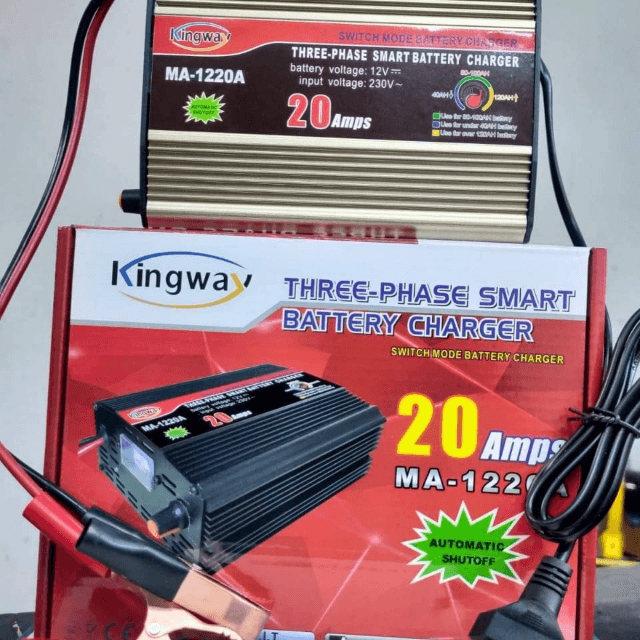 China Battery Charger 20a